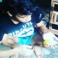 Xomplonx Ingin Thobat