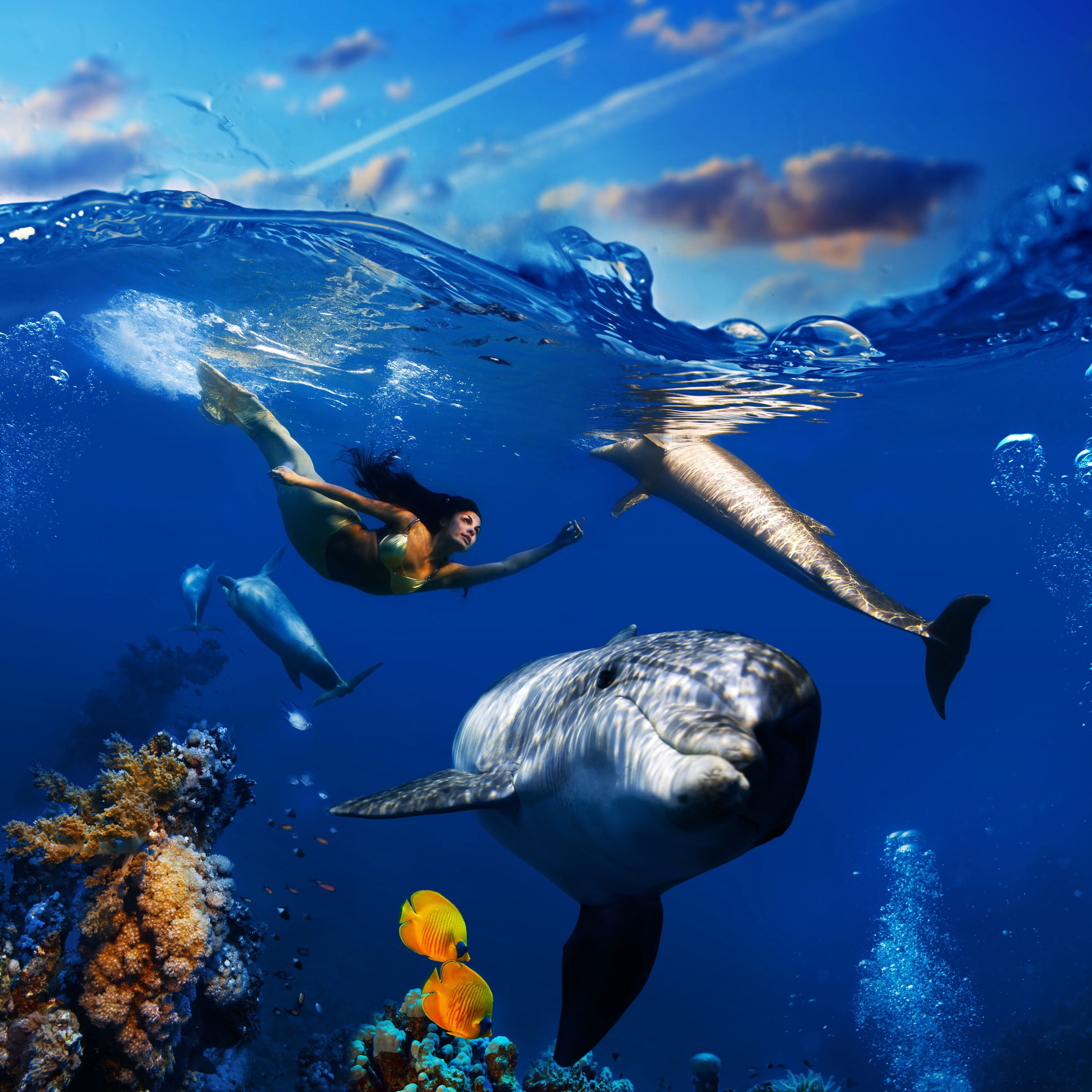 Dolphin Complex Radio