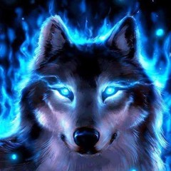 Christiaan Meertens...