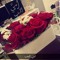 user585729506