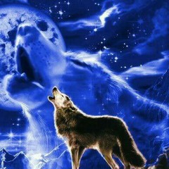 Savage wolves