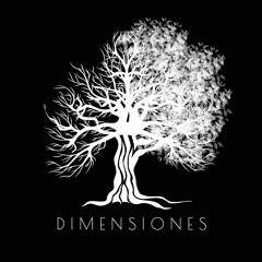 Dimensiones