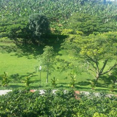 Rocio Galeano Sanchez