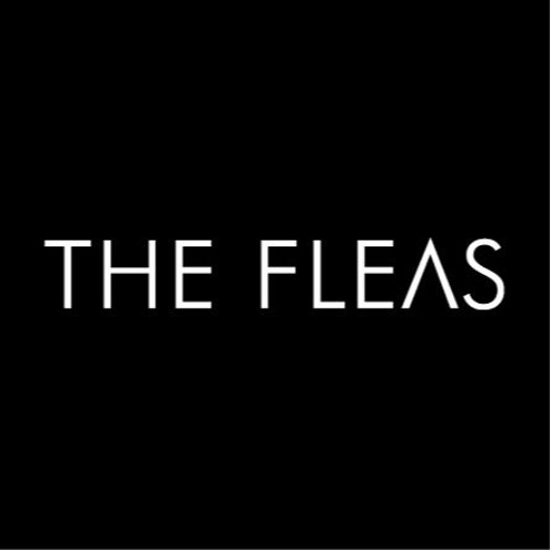 SoundCloud profile picture for @fleas