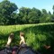 Sommerlaune