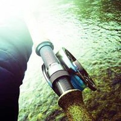 flavius general roca