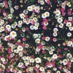 Royce Camille Valdez