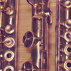 Mike Duckworth / Flutist & Collaborative Artist