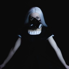 LAYER 013
