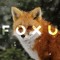 Foxu