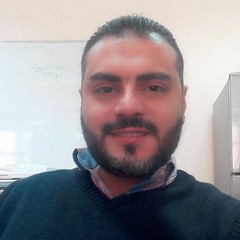 Ahmed Hegazy 88