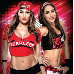 The Bella Twins