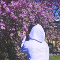 yungslaylu