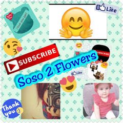Soso 2 Flowers