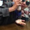 Dayton Toast Sieben