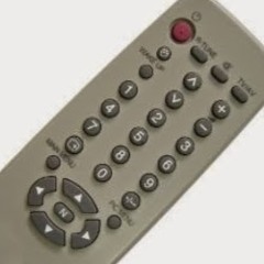 пульт Оттелика