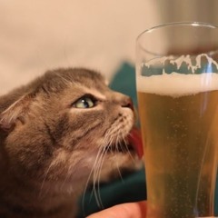 Вячеслав Захаров