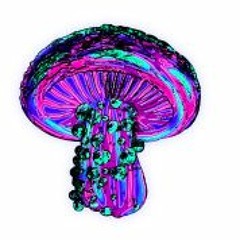 ▓▆▅▃▂▁A̶C̶T̶A̶V̶I̶Z̶T̶▁▂▃▅▆▓
