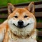 ＤＯＧＧＯ