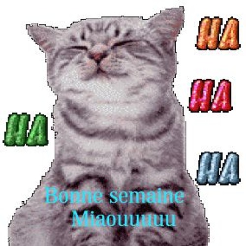 Стикеры для ватсапа с надписями двигающиеся. Привет стикеры красивые. Анимационные стикеры. Анимированные стикеры. Стикер спасибо.