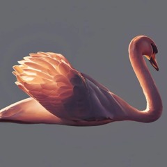 Pink Up