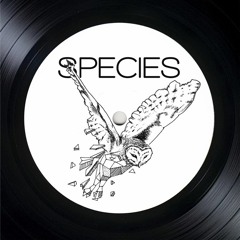 Species Recordings