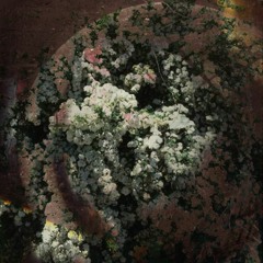 The Froglight Escape