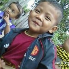 Ardani Afip