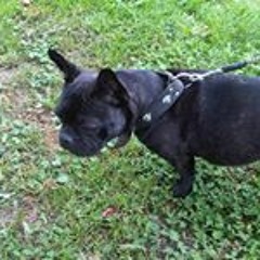 Bertha Mylo