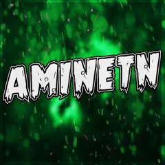 Aminetn