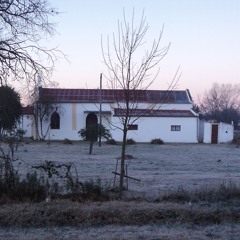 Elenzor