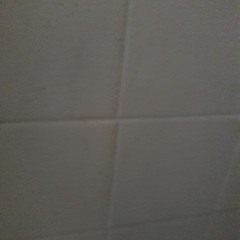 Veronica Despicablee