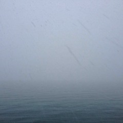 Jose Alejandro Valdez