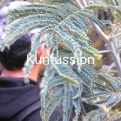 Kunfussion