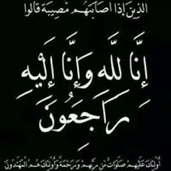 Mohamed A Hassan