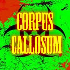 Corpus Callosum