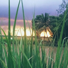 Thủy Tiên