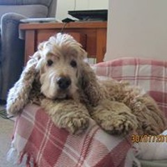 Valerie AndJohn Redman