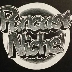 Puncast Niche