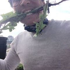 Barrington Barrington