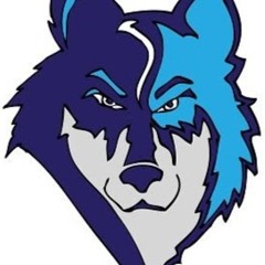 Mr Wolf