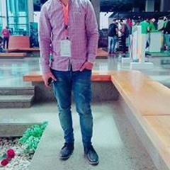 Mahmoud Elsadany