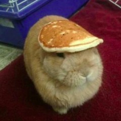 pancake-percainkerkin