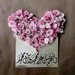 Nouran Anoosh