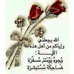 احمد رضا