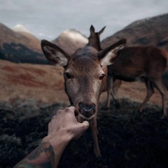 Lucía García Casalia