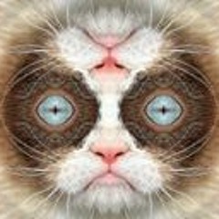 Saint-Preux_Concerto_Pour_Elle