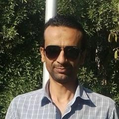 عمرو