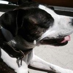 Patricia Kalin-Naltet