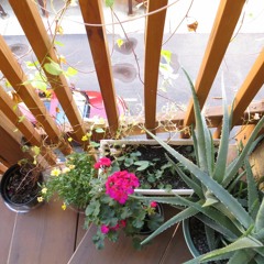 Tai Chi Music For Julie